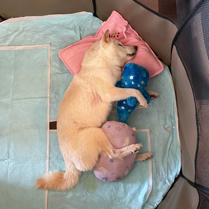 18d69175 df4d 4a6b b704 29423a8186f6 1660556936503