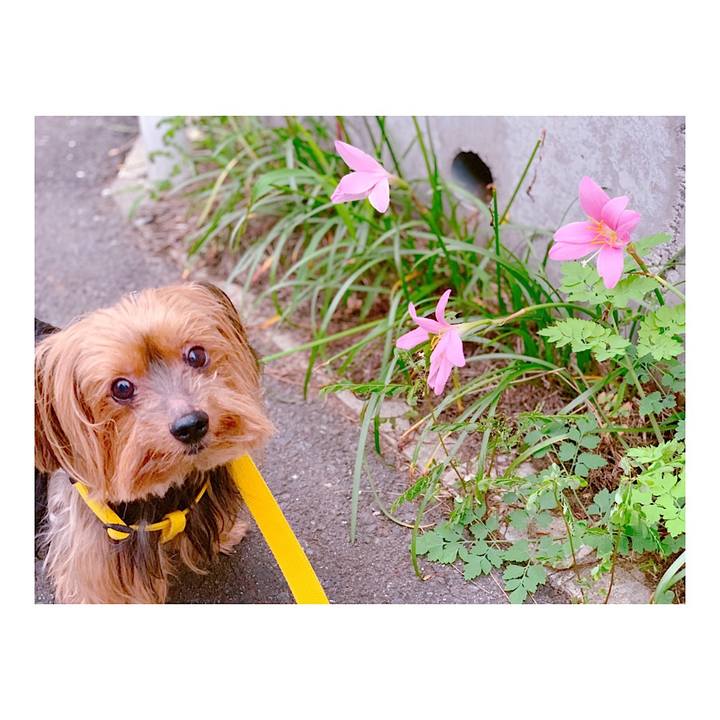 18d69487 be7a 4d61 a0a6 25655be0ab2c 1562320410797