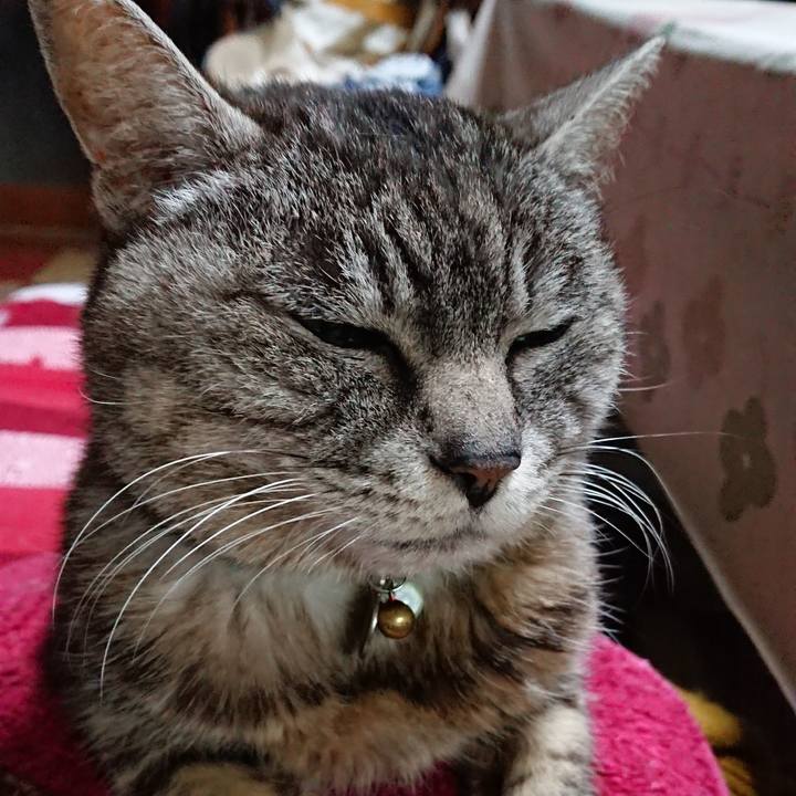 18d6be19 2e5b 4399 a7c9 aa781a30ad12 1550917608683