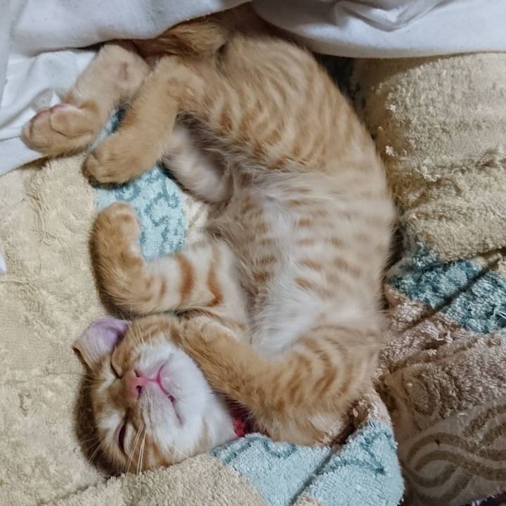 18d6cf99 de96 40cf ae71 b137800e1d94 1631365224844