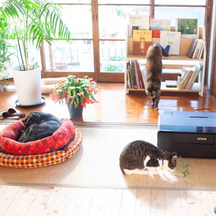 18d6cfaa c8ff 424c b4f5 2ff609ac3b7f 1580608640992