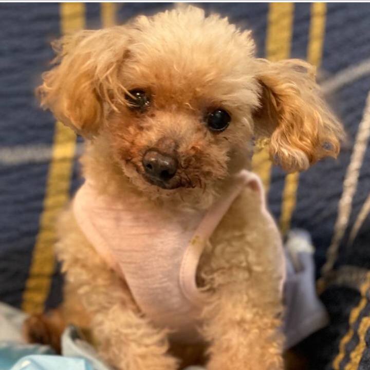 18d6d7f8 5b30 4013 bcd0 c5ba650a8c4b 1644038715564