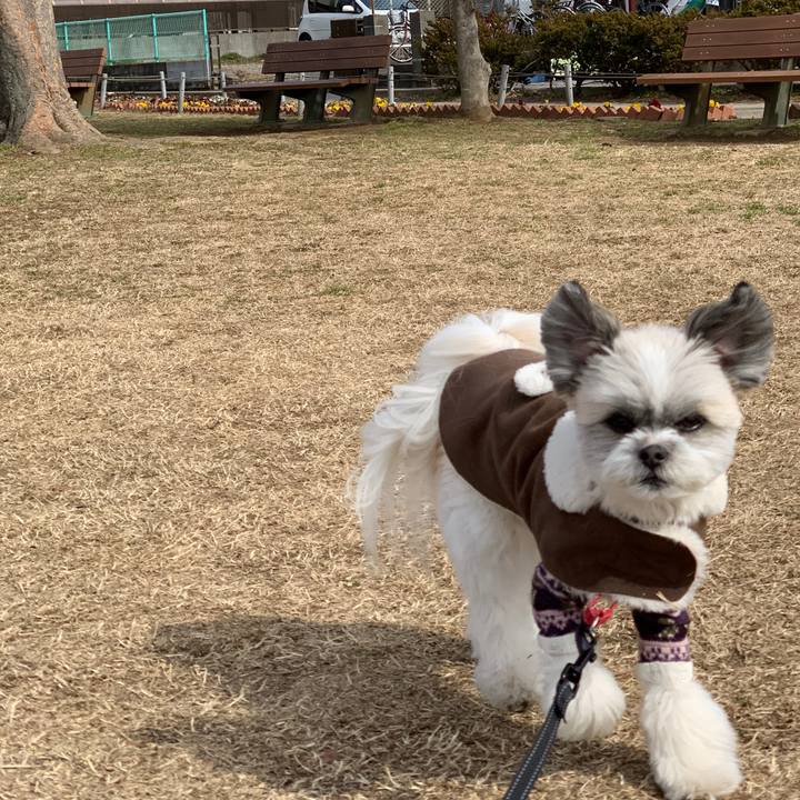 18d6db84 eccd 47db aa8c 4a0465fe66c7 1550146099360