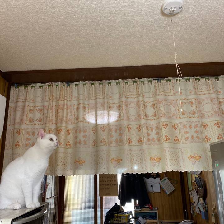 18d6dc48 2d5c 4e5a a9d3 f97e9652de8e 1616203031407