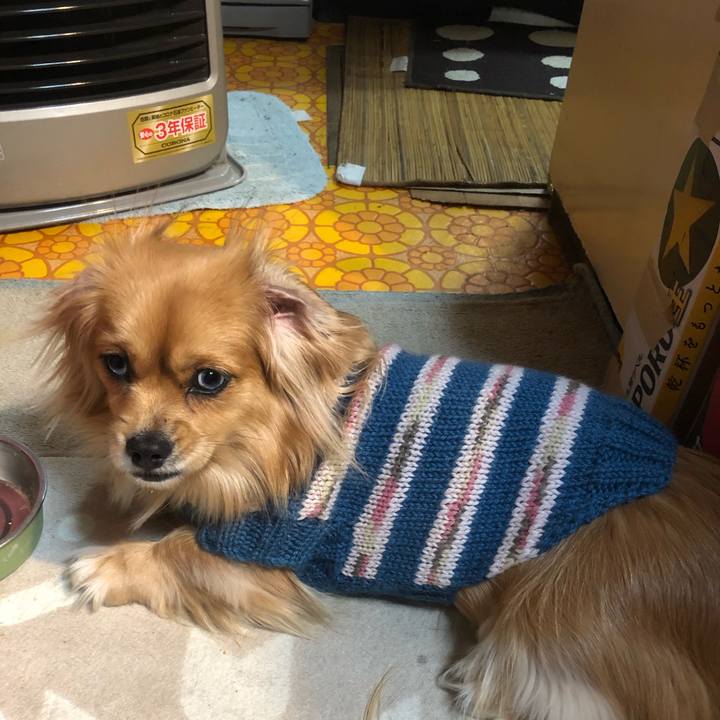 18d6ea10 4251 41c6 88e7 ed95051c02bc 1547677397542