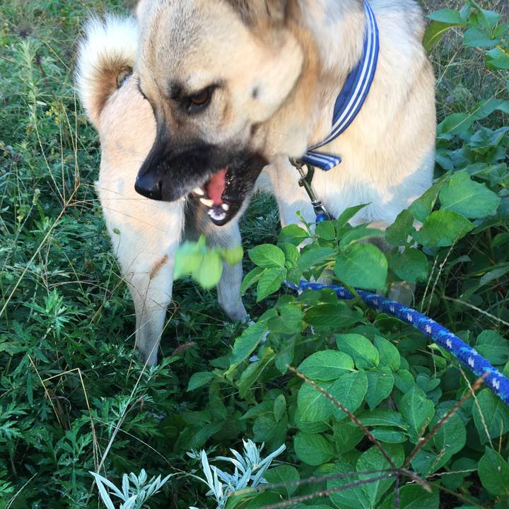 18d71bdb 700e 40cd 941b ac0daf7bd6f2 1510227613563