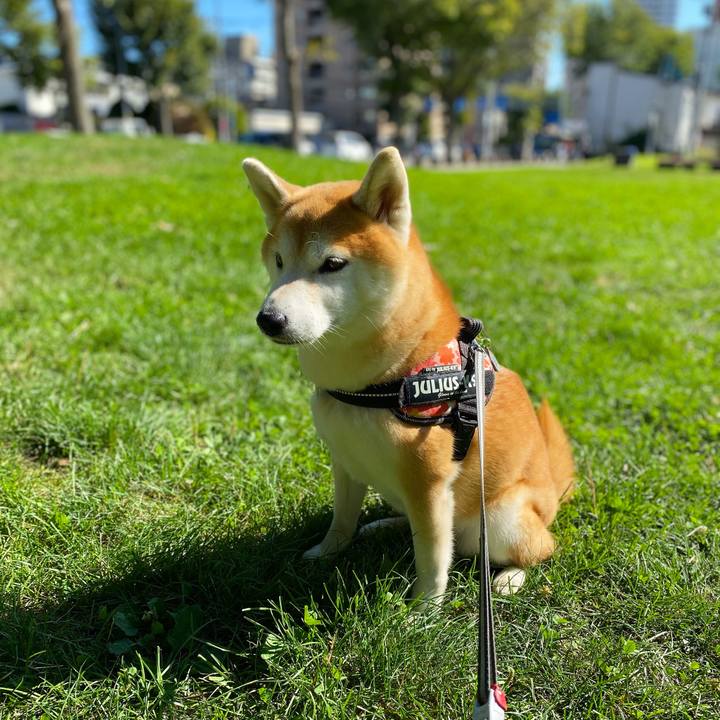 18d71bf9 0ada 47be 9cc0 bbd9d3efa70a 1630544478355