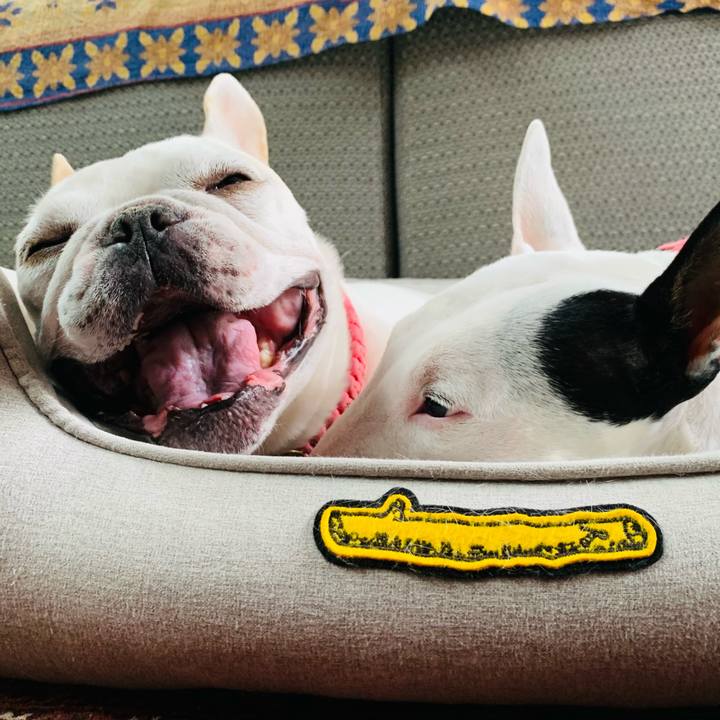 18d75804 59d0 4e60 adf7 da537f4dedbe 1604988391577