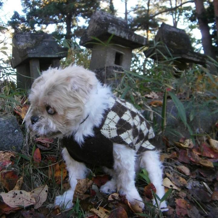 18d75ae6 ec9e 48cb 9537 1d2056f1b504 1669333785588