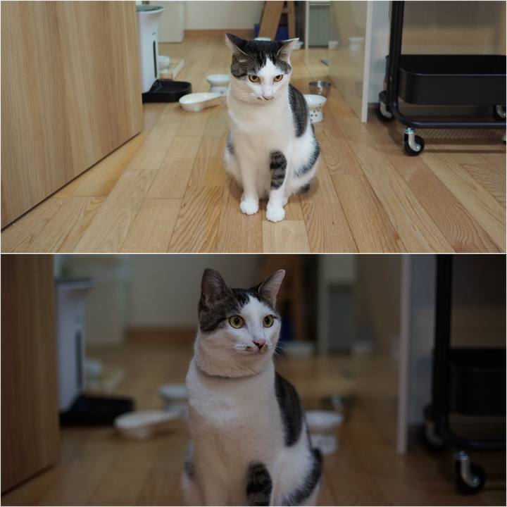 18d76a59 fbe8 4f57 9fbb f1335c662cd7 1534604012573