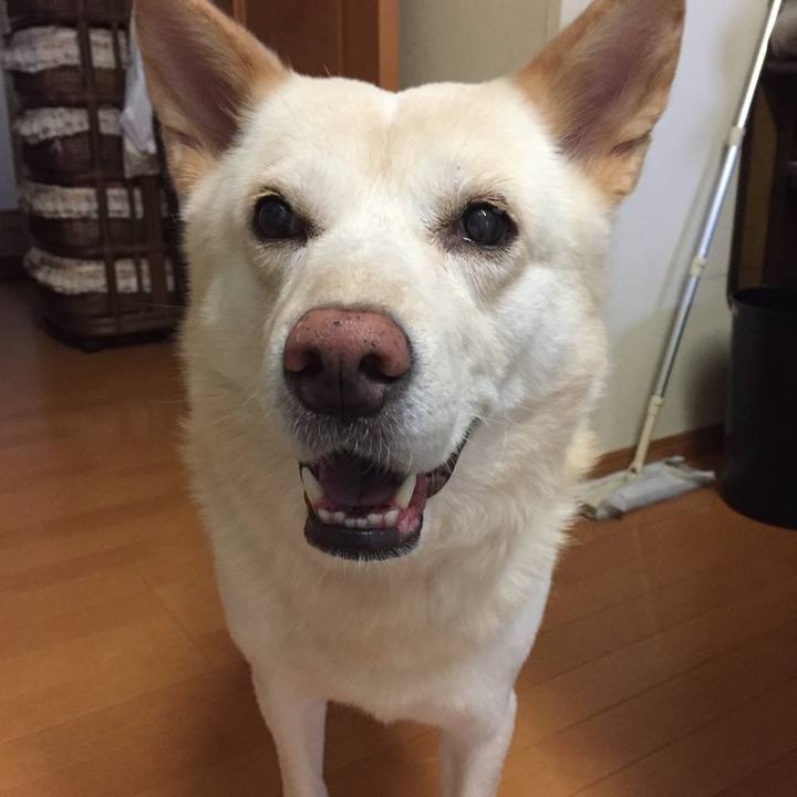 18d78505 7272 4fef bca9 3e069df5f6fa 1524328438920