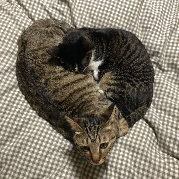 18d78617 76cd 4ff0 980d 1461bbdf2603 1545630848709