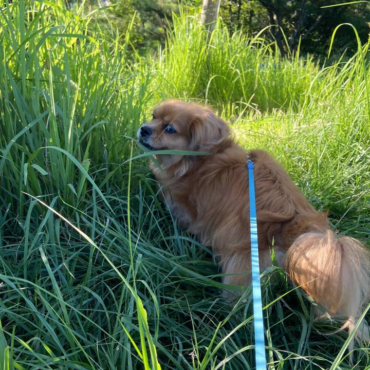 18d7d508 033c 417f 9559 3295e592cd63 1659479084687