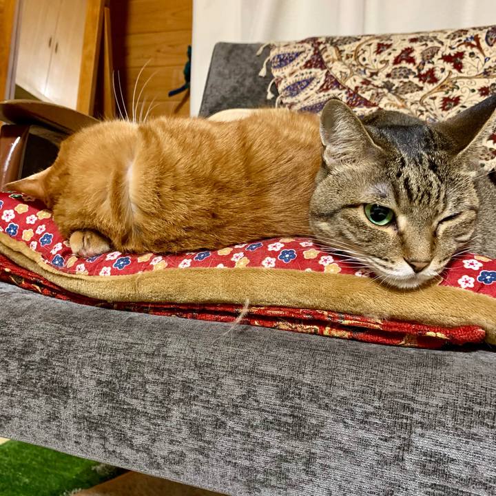 18d80c94 5291 4a93 8d4b b6857e4f92cb 1623843738867