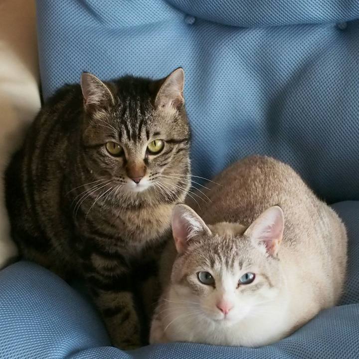 18d814c3 d526 4d24 8015 e70cd2db5c58 1522580534580