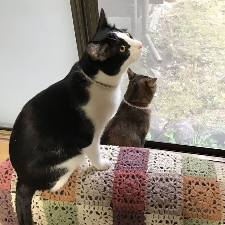 18d815aa 531a 4c77 91de 40b7c4dd7cd0 1655112872641