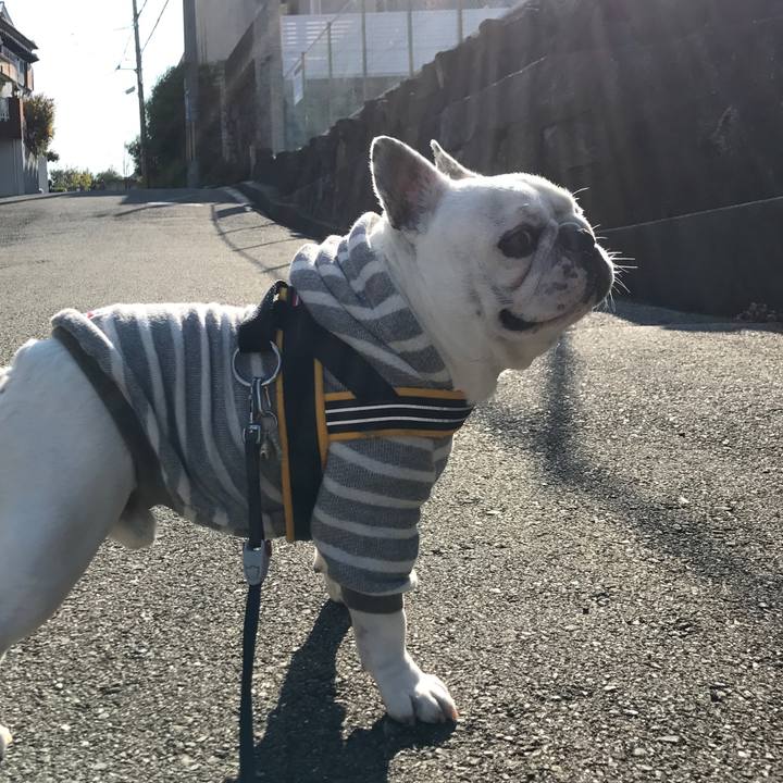 18d8568e 02b4 474f 8465 7dae50cd4a64 1511834471246