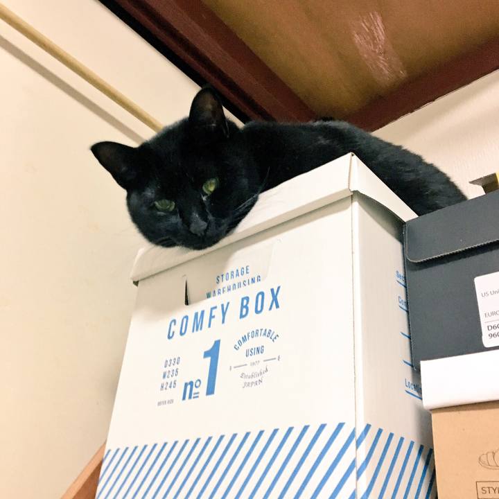 18d857c6 62fc 4df7 9ead 335007fac6d4 1518831236423