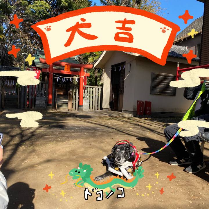 18d880cb 9ba7 48a1 9766 c0bae0b44df5 1704083775156