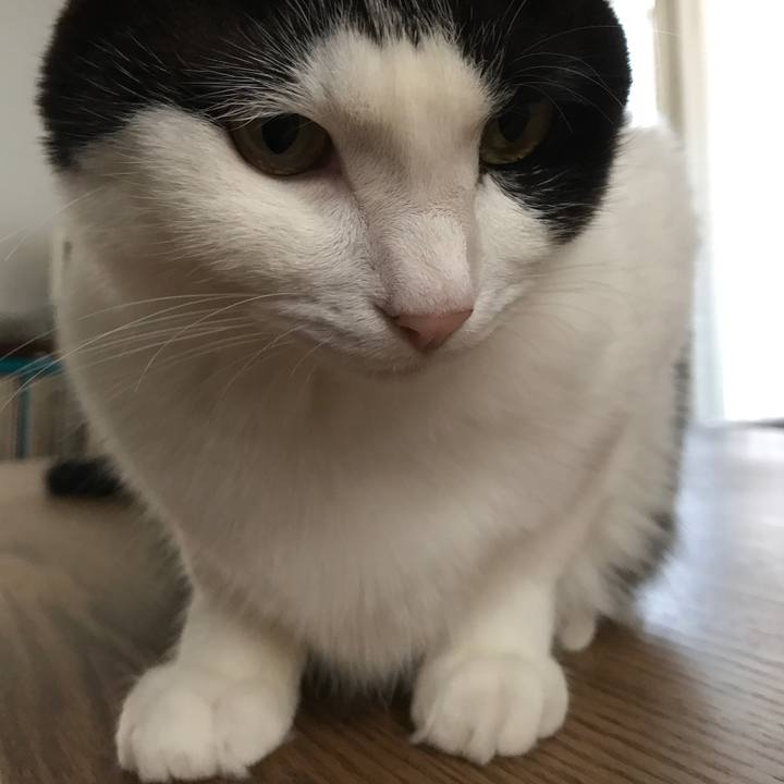 18d89d58 a535 43a5 9abc 9a9fc73c52bc 1509934381766