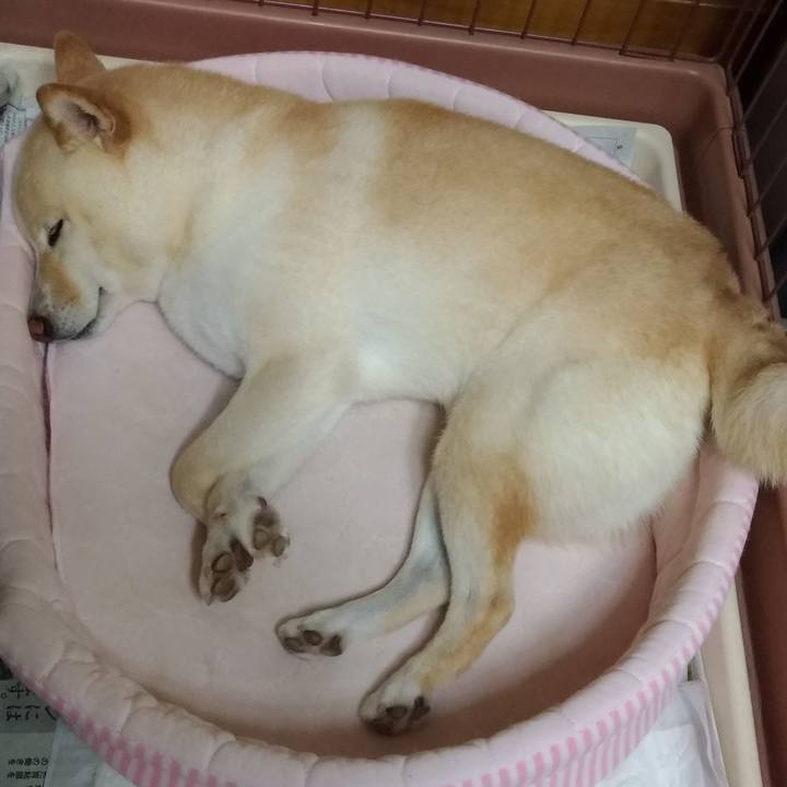 18d8c01d 01ea 49c5 85db ba1b60aa862e 1595940527828