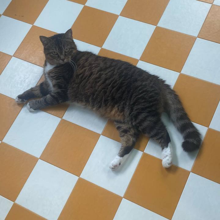 18d8c253 a563 4c23 b0f6 5da36ccf6523 1723595834420