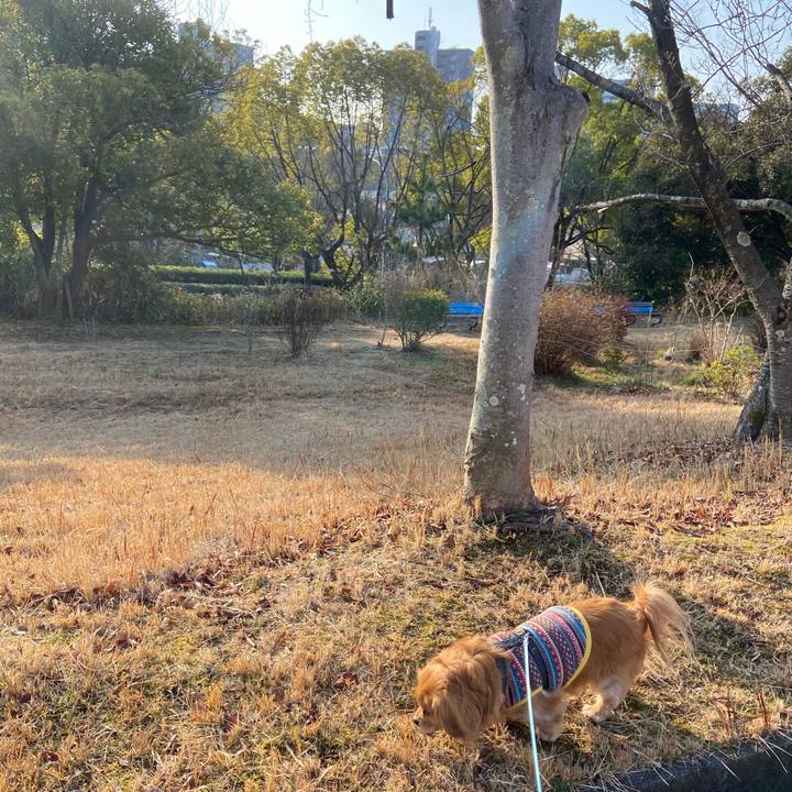 18d91292 514d 41ba 9c55 a1c3756865f4 1613865472578