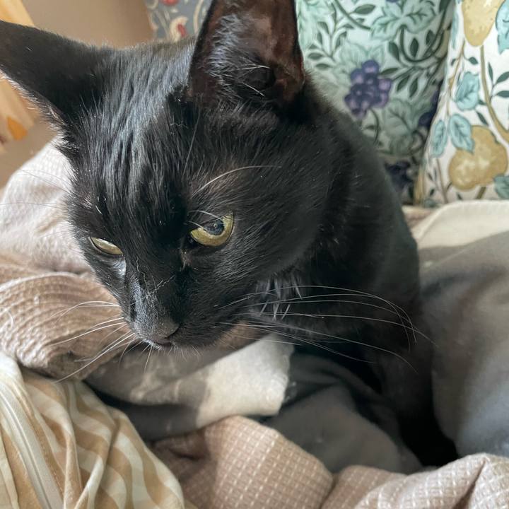 18d98b5b a09d 4408 b813 b7bbe793e30a 1740883082103