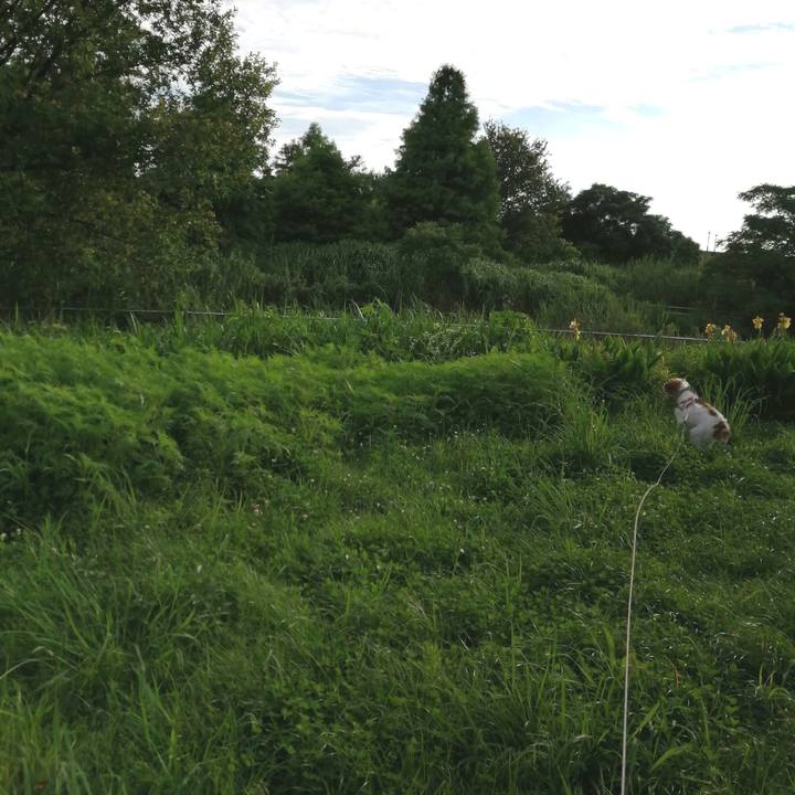 18d9b164 6afe 4ee2 8c66 bb2761ad37c4 1595329534168