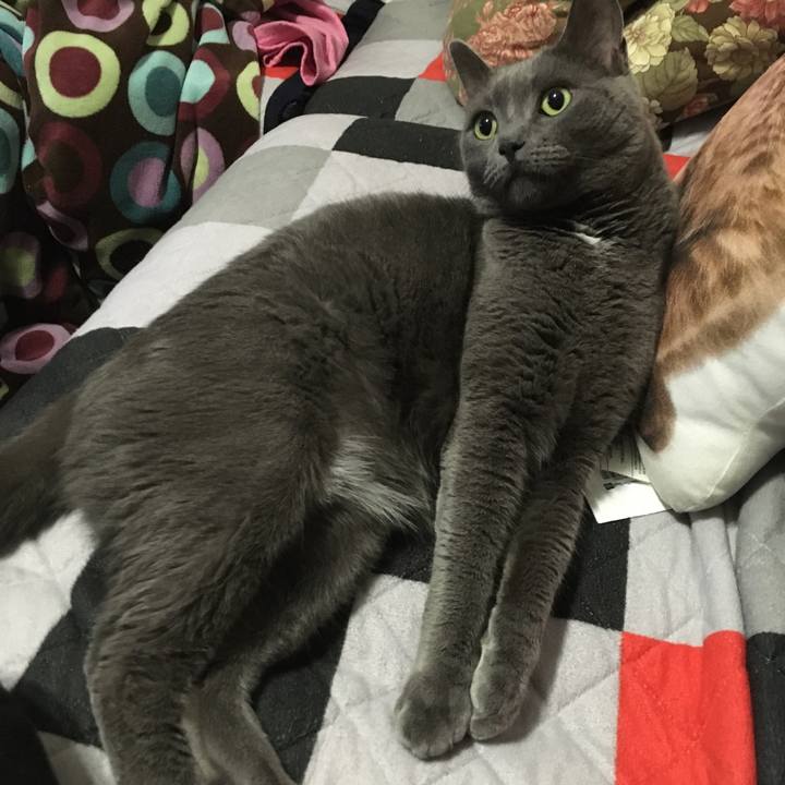 18d9b68d a78c 40f2 ba8b 024ae13da54e 1637348542736