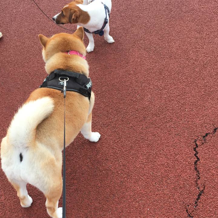 18d9c785 b93e 4473 b0eb 711e199e9a9b 1574135792468