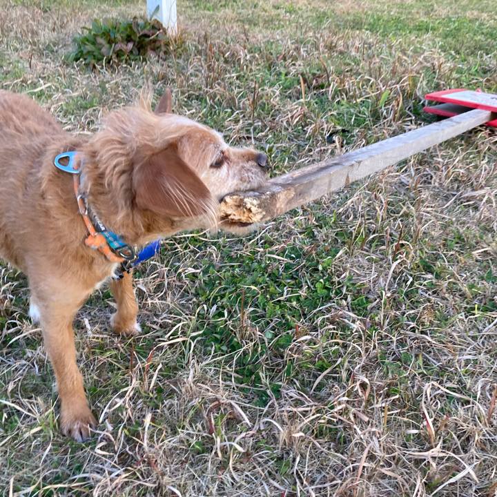 18d9ce29 a62e 4963 a5c4 8682748b908e 1672223703811