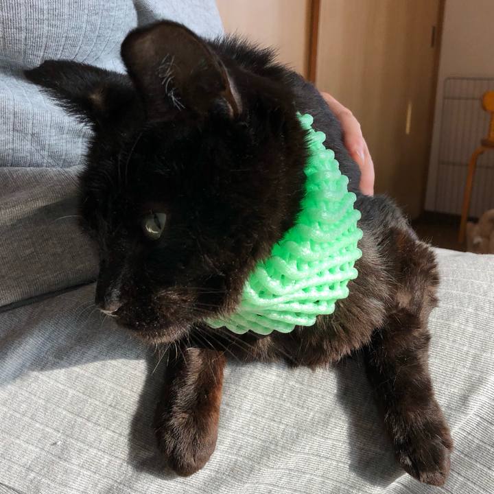 18d9db05 c440 48ef 900c 9c082d6fd43d 1559917177978