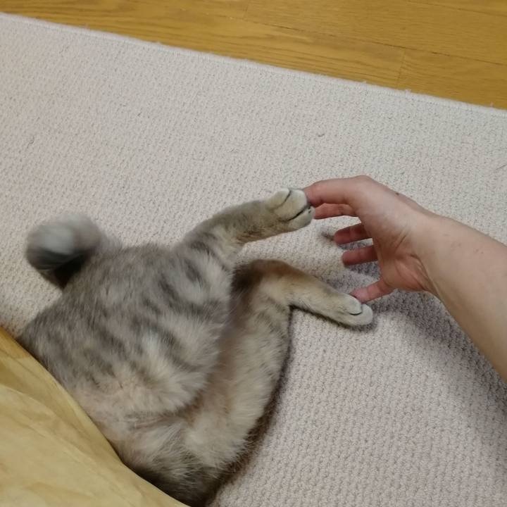 18da0493 933b 4a48 a04d a17fb4c7d602 1553740467530