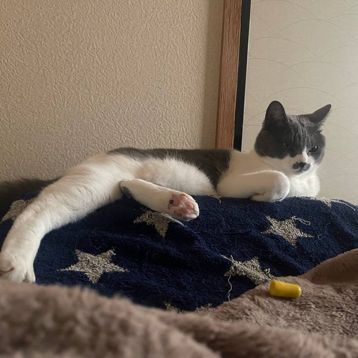 18da3165 b985 4861 ab62 59d6fcca8251 1675668963532