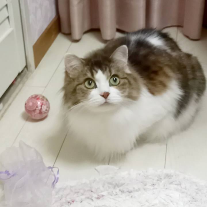 18da5730 6956 4c05 b27b 143e5a906e7a 1604065479965