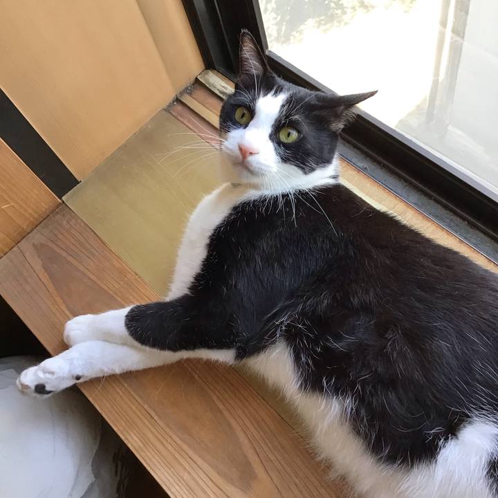 18da579d fb7e 4882 aa8f 76c438bd1ba5 1715847344148