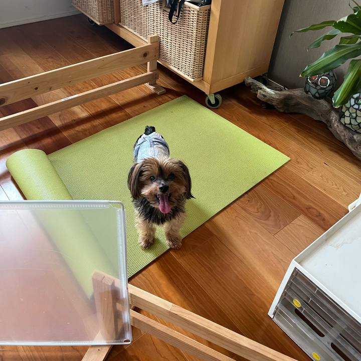 18da86aa 60f8 4da5 9930 4fce43ca49e4 1691917125703