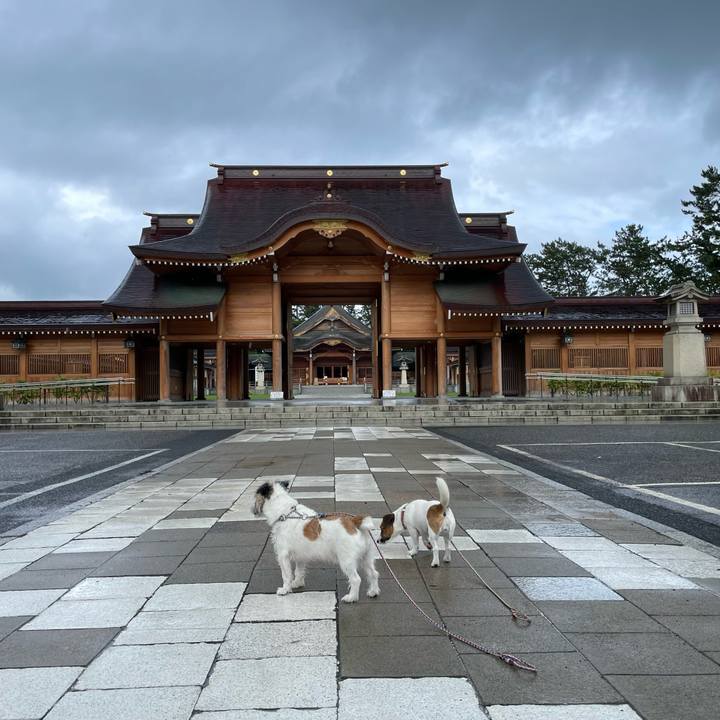 18da913f ce20 4f0e 9816 a85458f1f822 1658272890178