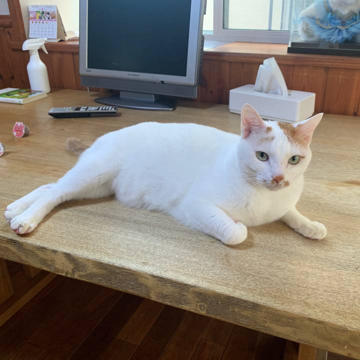 18dabd31 69cc 48a8 8a5f e8952778dd51 1649285437750