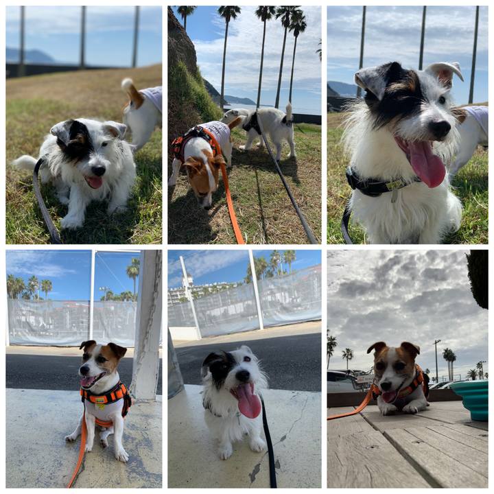 18dabddc cc0b 4faf b507 38b2233a9798 1569637209042