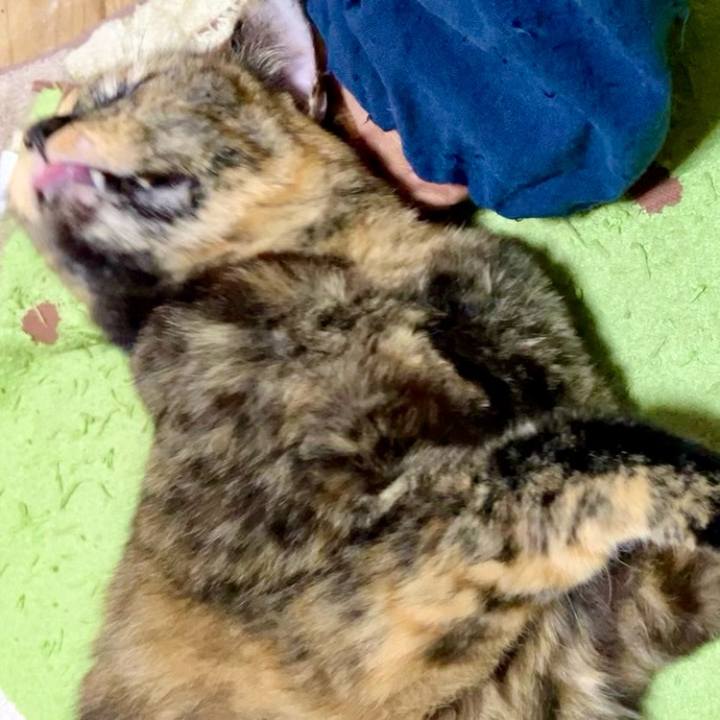 18db14ea 245b 42b8 a661 0ad972894cb5 1730194607458