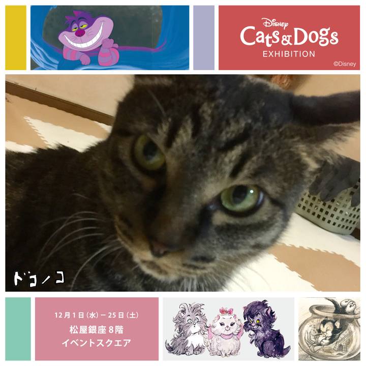 18db1d0d 9a25 4add 8580 bd035b51e901 1638341120552