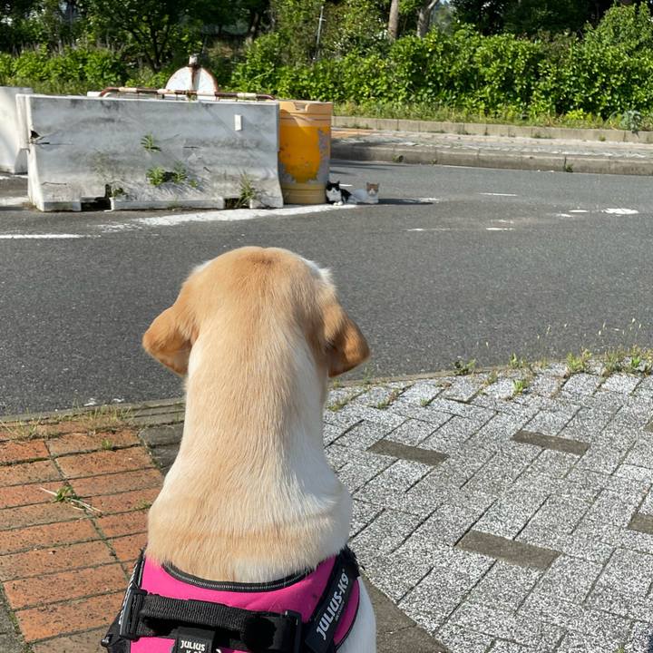 18db3a4f 876d 4db6 818f b99a838982b3 1652517144548