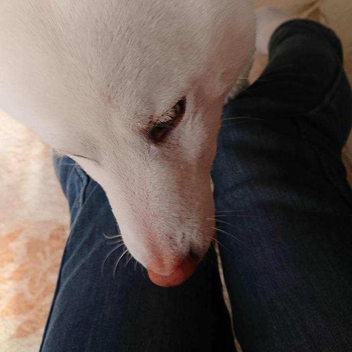 18db3a7b 8eb9 48b1 b6b6 8d845675071e 1512687482130