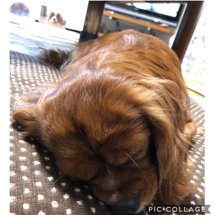 18db8962 52e0 4d58 9990 938676697612 1592518727022