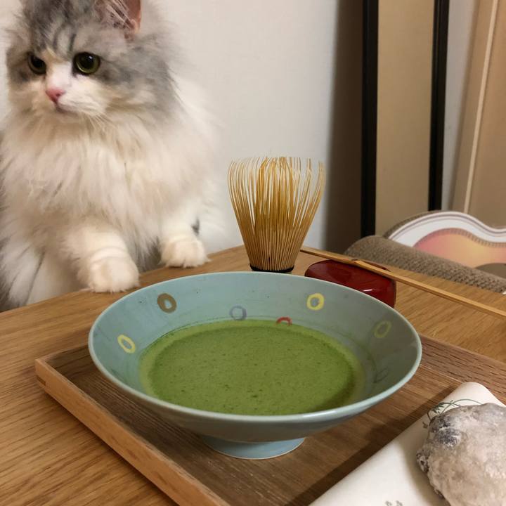 18dbd769 23d6 4f51 9a5d dac178050829 1562379258739