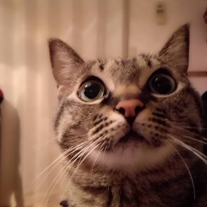 18dbda83 63e7 411f a4dd 1ee42d666622 1533043941564