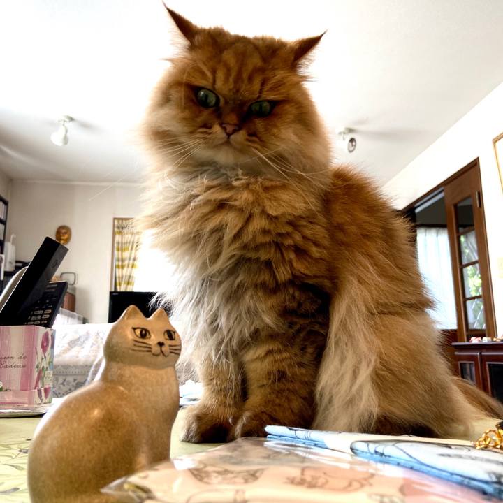 18dbeb65 27fd 4a6e 8ce6 7d9a8e21a56b 1599700047226