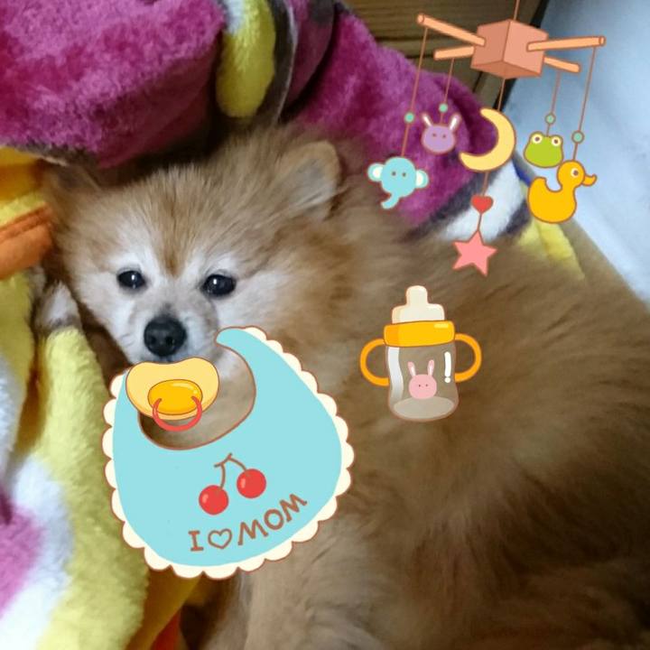 18dbef37 adaf 4661 bf55 464445ce4d88 1518874797411